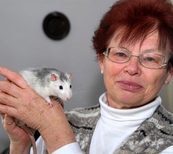 Tierheim bleibt weiter ein Wunsch - 
              <p class="artikelinhalt">Tierschutz in Frankenberg funktioniert, weil es Ehrenamtliche wie Rosmarie Freudenberg und viele andere Mitglieder des Tierschutzvereins gibt. Erst am Montag hat sie diese Ratte, die aus einer Zwangsräumung stammt, bei sich zuhause aufgenommen.</p>
            