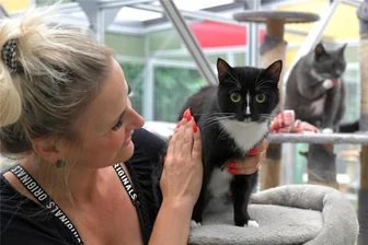Tierheim Freiberg platzt aus den Nähten: Wer möchte eine Katze oder einen Hund? - Im Tierheim Freiberg streichelt Leiterin Claudia Schubert die Katze Elenore, für die ein neues Zuhause gesucht wird.