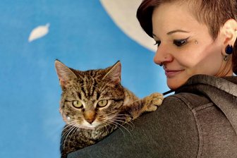 Tierheim im Erzgebirge setzt Notruf ab: Undichtes Dach stellt Zukunft in Frage - Kater Charlie sucht ein neues Zuhause. Das ist nicht das einzige Problem, das Annabell Freiwald und ihre Tierschützer-Kollegen haben.