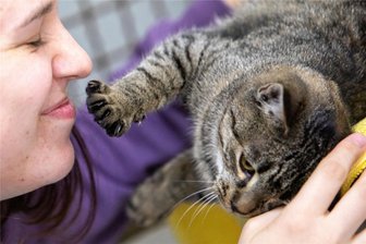 Tierheim Kandelhof: Am Samstag lockt eine Premiere - Im Tierheim Kandelhof werden unzählige Hunde und Katzen versorgt. Sie suchen einen neuen Besitzer.