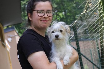 Tierheim Langenberg: Auffangbecken für Hunde aus Rumänien? - Lara Prätorius ist noch bis Ende August im Tierheim in Langenberg. Sie absolviert dort ein ökologisches Jahr. Der vierjährige Terriermischling Bobby ist seit dreieinhalb Monaten im Tierheim. Nach einem neuen Herrchen oder Frauchen für ihn und andere Hunde wird dringend gesucht.
