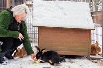Tierheim Langenberg gibt vernachlässigten Tieren neue Obhut - Manuela Kroll beim Füttern von neuen Bewohnern des Tierheims Langenberg. Fotos: Markus Pfeifer (2)