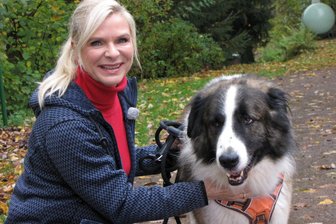 Tierheim Leisnig: Halter lassen Hütehund Pan einfach zurück - Moderatorin Uta Bresan stellt Hütehund Pan vor, der zurückgelassen wurde.