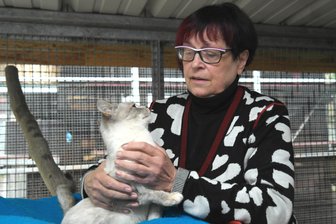 Tierheim Leisnig vermittelt erste Kontakte - Rosi Pfumfel wirbt beim Frühlingsfest für Rundgänge durch die Anlage am Leisniger Eichberg.