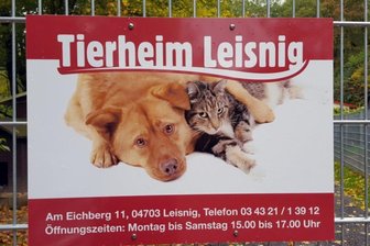 Tierheim Leisnig vermittelt erste tierische Kontakte - Die Tiernothilfe regt zum Frühlingsfest auch Rundgänge durch die Anlage in Leisnig an.