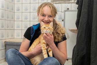 Tierheim-Team im Erzgebirge hofft auf neues Glück für Aica, Wilbur und Xanjo - Kater Wilbur ist noch ganz jung und wartet im Tierheim „Neu-Amerika“ nahe Annaberg-Buchholz auf Anschluss. Im Bild ist er mit Tierheimleiterin Peggy Kreher zu sehen.