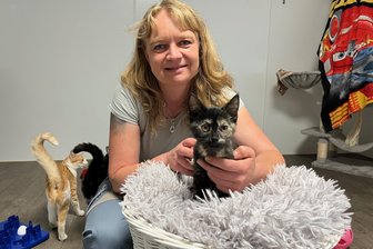 Tierheim-Team „Neu-Amerika“ im Erzgebirge lädt zu Fest ein: Was Besucher erwartet - Das Tierheim „Neu-Amerika“ lädt zu einem Fest ein. Im Bild: Leiterin Peggy Kreher.