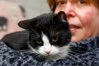 Tierheimmitarbeiter sorgen sich um einige Schützlinge besonders - Mitarbeiterin Birgit Gaudlitz hat Katze Emilie auf dem Arm, die Mieter einer Wohnung beim Auszug zurückließen.