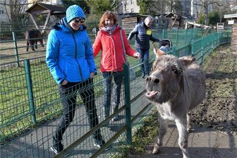 Tierische Freude: Besucher strömen in Scharen in den Freiberger Minizoo - Lautstark begrüßt Eselin Ella die Gäste - hier Katharina Vogel, die mit ihrem neunmonatigen Sohn Matheo ihre Eltern Carola und Karsten Vogel besucht.