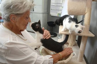 Tierische Freude im Altenheim: Hier darf die Miez‘ mit einziehen - Die 82-jährige Luise Schenkel hat sich sogleich in die drei Katzen-Jungs verliebt – und die in die alte Dame. Manfred ist dabei, ein Küsschen zu geben, Erich und Fritz (schwarz) pirschen sich an. Die drei jungen Kater sollen Freude ins Leben von 62 Senioren bringen, so die Idee der Leitung in der Awo-Seniorenresidenz.
