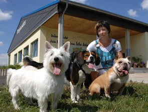 Hunde in der Tierpension