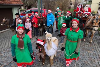 Tierischer Spaß: Außergewöhnliche Weihnachtsaktion sorgt für Freude in Bernsdorf und Hermsdorf - Mit klingenden Schellen und fleißigen Wichteln geht der Weihnachtsmann in seiner Pferdekutsche auf Tour.