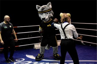 Tierisches Duell im Chemnitzer Bundesliga-Ring - Fredi (M.) und der Chemnitzer Boxwolf schenkten sich nichts im Ring, sodass Kampfrichter Benjamin Kahlert am Ende ein Unentschieden gab.