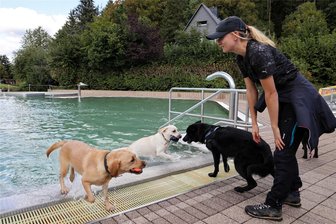 Tierisches Vergnügen im Freibad Raschau: Wenn Hunde zum Abbaden ins Becken springen - Abbaden für Hunde im Freibad Raschau: Franziska Paulus aus Schwarzenberg war mit ihrer Labrador-Hündin Mila (links) dabei.