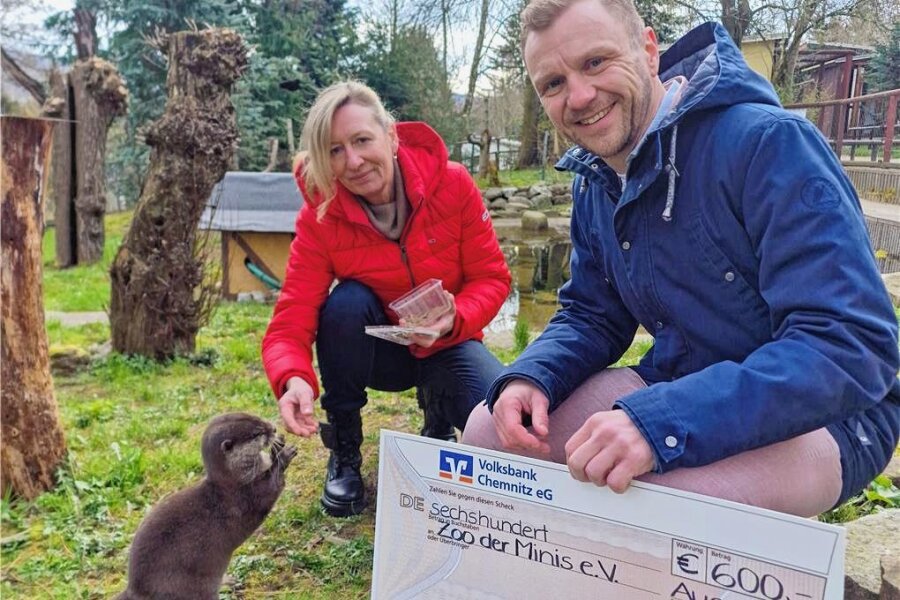 Tierpark Aue: Volksbank übernimmt Patenschaft für Zwergotter Bruce - Andreas Heyn, Leiter der Volksbank in Aue, übergab den Spendenscheck an Bärbel Schroller vom Tierpark. 
