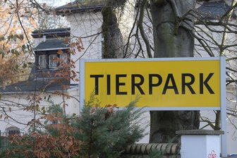 Tierpark Chemnitz bekommt neuen Erlebnisbauernhof - Bis 2030 sollen im Tierpark Gehege und Zugangswege umgestaltet werden. Ein Projekt dieses sogenannten Masterplanes, der Bau eines neuen Erlebnisbauernhofs, beginnt nun.