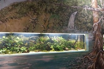Tierpark Chemnitz: Foyer im Tropenhaus neu gestaltet - 