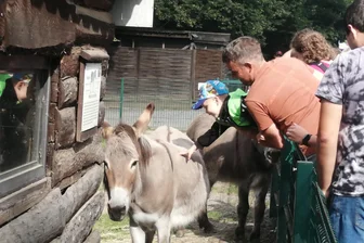 Tierpark Freiberg feiert Familientag - Der Familientag im Tierpark Freiberg hat am Sonntag zahlreiche Besucher angelockt.