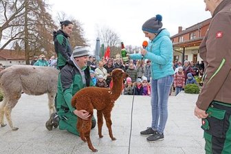 Tierpark Hirschfeld: Alpaka-Baby auf den Namen Clara getauft - Clara Zindler aus Erlangen, die derzeit ihr Oma besucht, hat das Alpaka-Mädchen im Tierpark Hirschfeld auf den Namen Clara getauft.