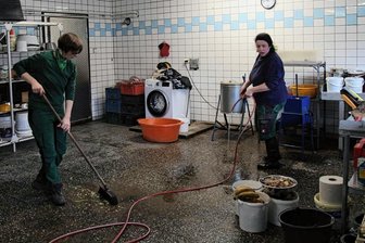 Tierpark Hirschfeld bekommt eine neue Futterküche - Patrizia Weidlich und Kathrin Gruner in der Futterküche des Hirschfelder Tierparks. Die Räume sollen schon seit langer Zeit neu gebaut werden.