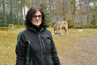 Tierpark Hirschfeld: Joe und Freya stehen beim 9. Wolfstag im Fokus - Zootierpflegerin Ulricke Rappehn betreut die Wölfe im Tierpark Hirschfeld.