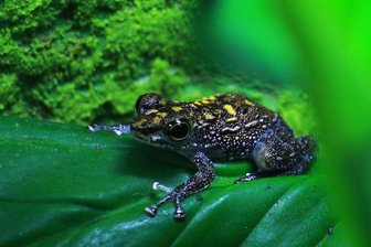 Tierpark: Kurzführung durch das Vivarium -