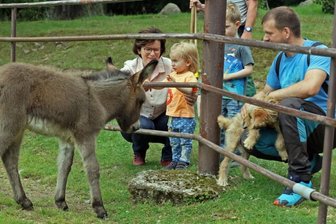 Tierpark: Neuzugänge auf zwei und vier Beinen - Die kleine Eselstute scheint Kinder zu mögen. Ohne Scheu kommt sie an den Zaun, das begeistert auch diese Familie.