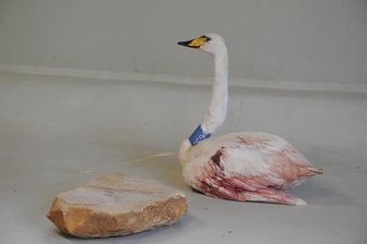Tierpark nimmt verletzten Schwan auf - 