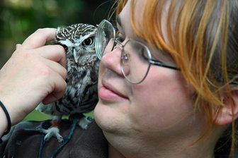 Tierparkfest in Freiberg: Esel, Hirsch und Kautz staunen über Besucheransturm im Revier - 