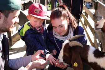 Tierparkfest und Streuobstmarkt locken zum Ausflug am Wochenende -