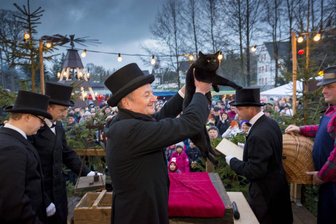 Tierrechtsorganisation Peta kritisiert Katzenwiegen in Voigtsdorf - 