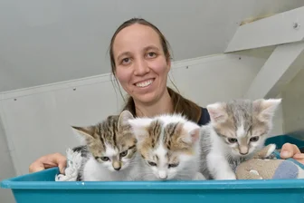 Tierschützer in Region Zwickau atmen auf: Massive Kürzung von Fördergeld vom Tisch - Maria Fieseler zeigt im Vielauer Tierheim nur einige der kleinen Neuzugänge. Zurzeit landen dort viele junge Katzen.