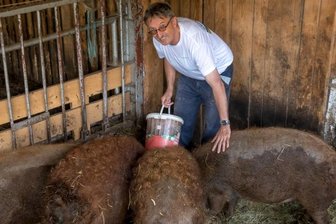 Tierschutz: Landwirte fordern Abschied von Billigfleisch - Nicht nur Landwirt Egbert Köhler aus Pfaffroda richtet klare Forderungen zugunsten der Landwirtschaft und des Tierwohls an die Politik.