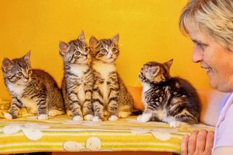 Tierschutzverein Vogtland lädt am nächsten Wochenende zum Tierheimfest ein - 