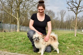 Tinder für Hundefreunde: Wer beim „Bark Date“ im Chemnitzer Küchwald zueinander findet - Tierpflegerin Laura Rößner mit Mischling Heinz-Dieter, der beim „Bark Date“ dabei ist.