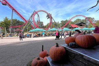 Tipps für bunte Herbstferien im Vogtland: Was Ferienkinder und ihre Familien jetzt alles vor der Haustür erleben können - Kürbisse sorgen im Herbst im Freizeitpark Plohn für eine stimmungsvolle Dekoration.