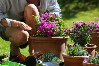 Tipps für das lange Wochenende in Chemnitz - Bei dem schönen Frühlingswetter haben sicher viele Lust, ihren Garten oder Balkon zu verschönern.