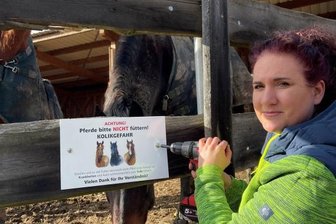 Tödliche Gefahr am Koppelzaun: Wie Pferde unter "Leckerbissen" leiden - Melanie Günter beim Anbringen der Schilder. 