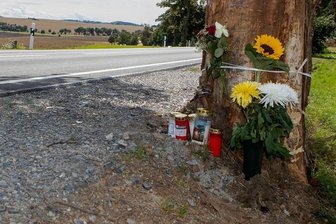 Tödliche Unfälle: Das soll sich an der B 169 zwischen Neuensalz und Mechelgrün tun - Die Rinde des Unfallbaumes war bei den Unfällen zuletzt schwer beschädigt worden. Nun soll der Baum komplett verschwinden. 