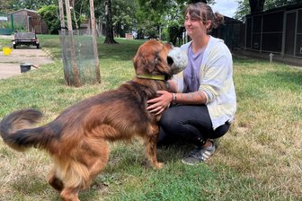 Tödlicher Unfall am Tierheim Freiberg: Freundin des Opfers hofft auf gerechtes Urteil - Solav Rausch spielt im Freiberger Tierheim mit dem elfjährigen Rüden Bonzo. Die 18-Jährige hofft auf ein gerechtes Urteil im Prozess um den Unfalltod ihrer Kollegin, mit der sie befreundet war.