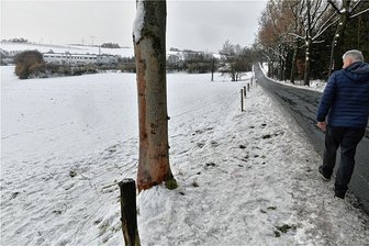 Tödlicher Unfall bei Freiberg: Polizei stellt Pkw sicher - Die Unfallstelle kurz hinter dem Ortsausgang von Freiberg in Richtung Großschirma.