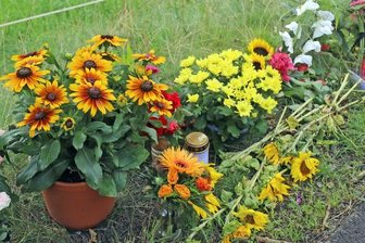 Tödlicher Unfall bei Sayda: Wie Radfahrerin verunglückte, bleibt wohl ungeklärt - Zeichen der Anteilnahme: Blumen, Kerzen und Briefe wurden an der Unfallstelle nahe Friedebach von Trauernden niedergelegt. 
