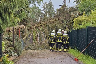 Tornado zieht durchs Vogtland, Sturm reißt Bäume und Baugerüst um, viel Sonne und zu wenig Regen: So war das Wetter 2025 - Rund um Auerbach hat eine Unwetterfront im Juni zahlreiche Bäume umstürzen lassen.