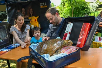 Tote Schildkröten und Likör mit Seepferdchen: Was macht der Zoll im Tierpark in Limbach-Oberfrohna? - Zollbeamter Carlito Klaus (l.) zeigt Tierparkbesuchern eine tote Wasserschildkröte, die im Reisegepäck gefunden wurde.