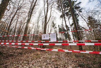 Totes Kälbchen im Wald zwischen Theuma und Bergen - 