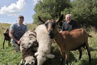 Totes Ziegenlamm im Erzgebirge: Unabhängiges Gutachten weist auf Spuren des Wolfes hin - Steve Richter war am Montag mit Vater Falk Richter auf der Weide auf den Alten Kalkbrüchen in Hammerunterwiesenthal. Auf der Fläche grasen elf Ziegen und Schafe. Sie verrichten dort wichtige Arbeit in Sachen Naturschutz.