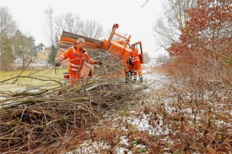 Totholz soll für Leben sorgen - Tilo Heinig (li.) und Nicky Reichel vom Oberlungwitzer Bauhof legen ein kleinen Wall aus Geäst und Totholz an. 