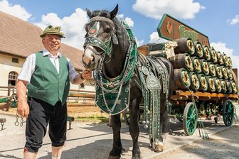 Traditionsgespann von Wernesgrüner bei Saisonstart dabei - Zum Saisonauftakt wurde am Sonntag in Wernesgrün in diesem Jahr wieder das Brauerei-Traditionsgespann angeschirrt.