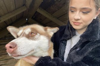 Traurige Jahresbilanz im Tierheim Limbach: Husky-Mädel Finja - verstoßen wie so viele Optik-Käufe - Ein Herz und eine Schnauze. Luisa Römich und Finja, ein jüngst ausgesetzter Siberian Husky-Mix. Die Neuntklässlerin aus Lauschgrün absolviert gerade ein Praktikum im Limbacher Tierheim. „Solange ich denken kann, mag ich Tiere.“