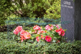 Treiben Wildtiere auf dem Plauener Hauptfriedhof ihr Unwesen? - Manch ein Grab ist auf dem Hauptfriedhof mit einem kleinen Maschendrahtzaun vor hungrigen Tieren geschützt.